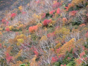 爺が岳10月