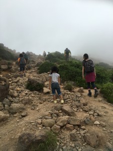 登山道