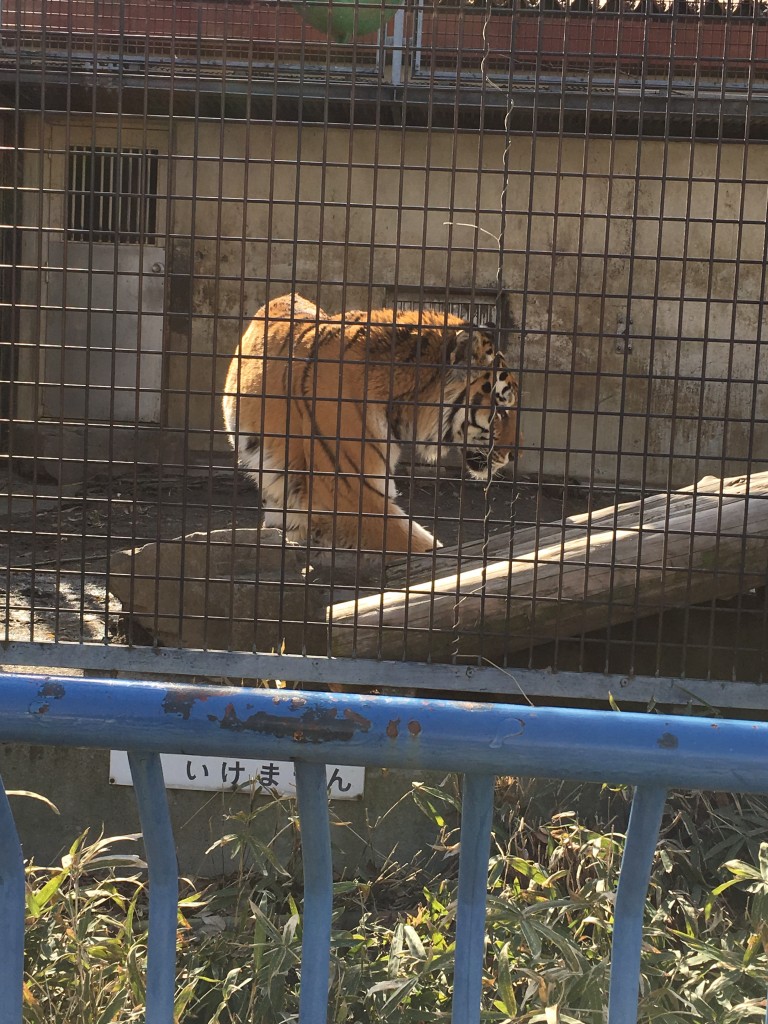 動物園①